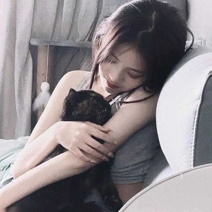 廉政行动2004粤语